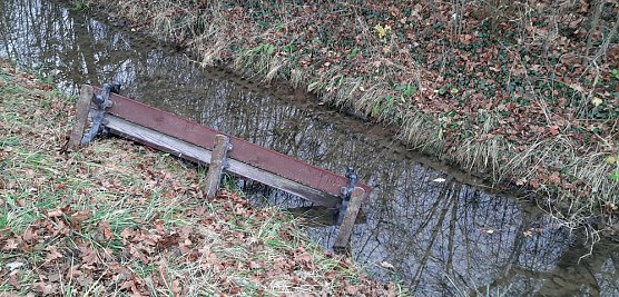 Chaoten im Schlosspark Sondershausen unterwegs (Foto: privat)