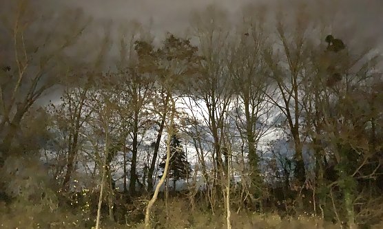 Nachtstimmung (Foto: oas) Nachtstimmung (Foto: oas)