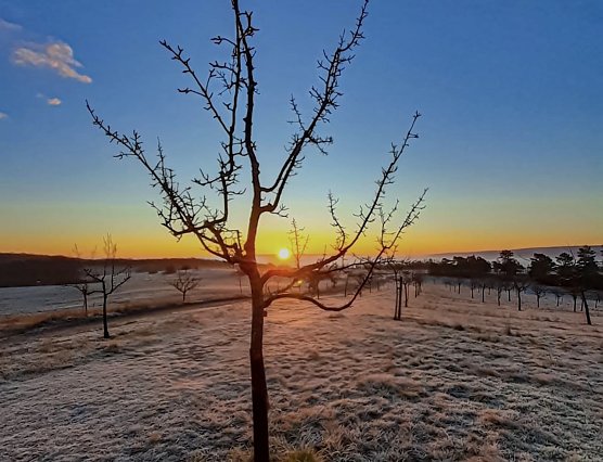 Erste Anzeichen des Winters - frostig goldener Tagesanbruch oberhalb des Schlachtberges. (Foto: Enrico Hellmuth)