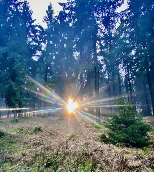 Sonnenstrahlen am Rennsteig (Foto: Mathias Zobel)