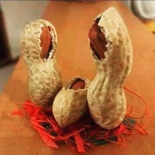 Krippenszene (Foto: Marie Kr&ouml;ger)