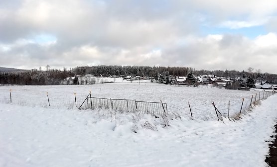 Sophienhof am Morgen (Foto: W.Jörgens) Sophienhof am Morgen (Foto: W.Jörgens)