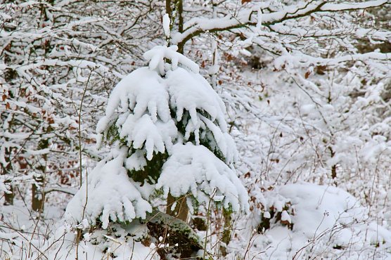 Wetterbild (Foto: agl) Wetterbild (Foto: agl)