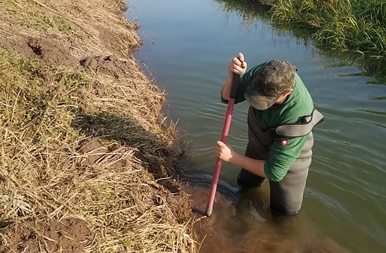 Ma&szlig;nahmen f&uuml;r Bachmuschel, Helm- und Vogel-Azurjungfer (Foto: Landschaftspflegeverband S&uuml;dharz/Kyffh&auml;user)