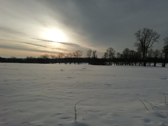 Sonne und Schnee bei Minus neun Grad heute morgen in Sophienhof (Foto: W. Jörgens) Sonne und Schnee bei Minus neun Grad heute morgen in Sophienhof (Foto: W. Jörgens)