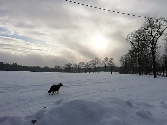Im oberen Harz (Foto: W.J&ouml;rgens)