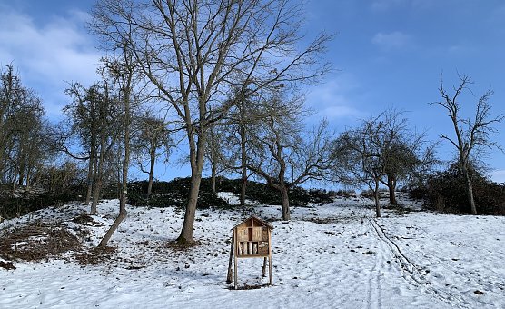 Insektenhotel in der Nordhäuser Windlücke (Foto: oas) Insektenhotel in der Nordhäuser Windlücke (Foto: oas)