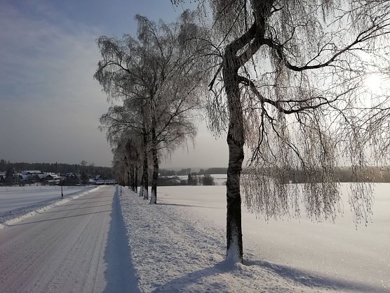 Sonnenschein und Schnee heute morgen in Sophienhof (Foto: W. J&ouml;rgens)