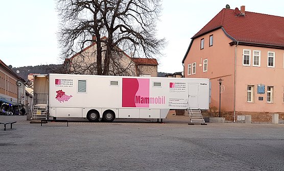 Mammobil - Mammographie Screening (Foto: Peggy Rauche) Mammobil - Mammographie Screening (Foto: Peggy Rauche)