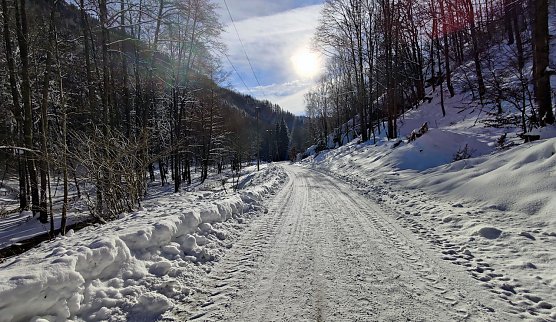Im Brandesbachtal (Foto: P.Blei) Im Brandesbachtal (Foto: P.Blei)