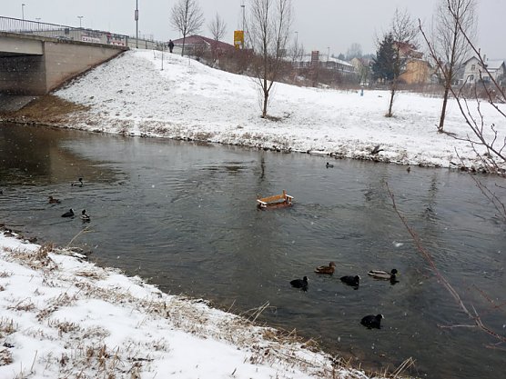 Beobachtungsposten f&uuml;r Enten? (Foto: Karl-Heinz Herrmann)