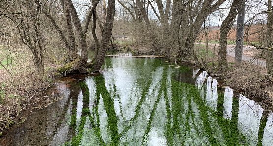An der Salzaquelle in Salza (Foto: oas) An der Salzaquelle in Salza (Foto: oas)