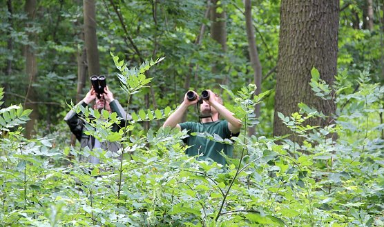 Bundeswaldinventur (Foto: Th&uuml;ringenForst)