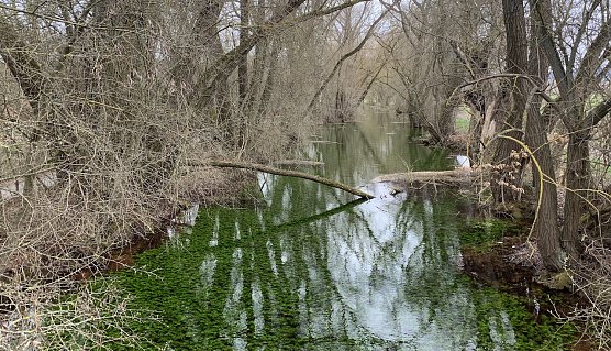 An der Salzaquelle in Nordhausen/Salza (Foto: oas)