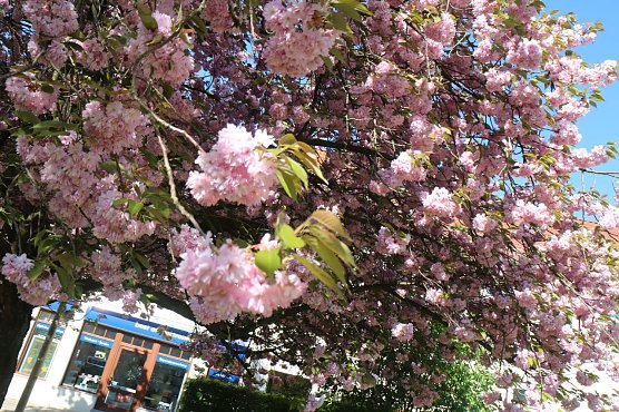 Wetterbild (Foto: agl) Wetterbild (Foto: agl)