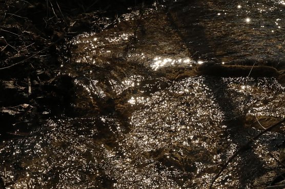 Wetterbild (Foto: agl)