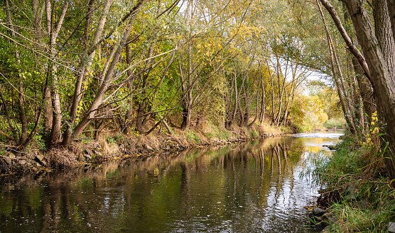 Die Wipper (Foto: Jana Groß) Die Wipper (Foto: Jana Groß)