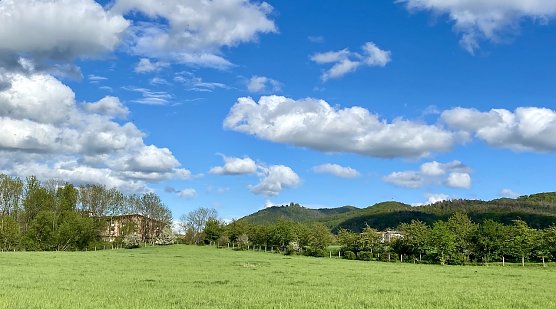 Am Stausee Kelbra (Foto: oas)