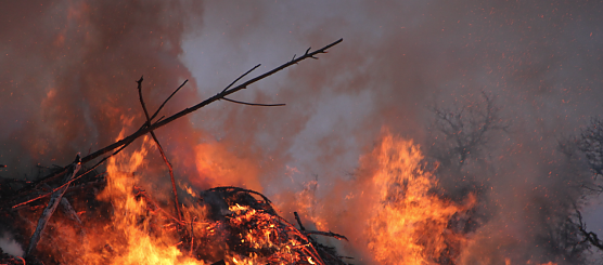 Waldbrandgefahr in Thüringen, Symbolbild (Foto: nnz-Archiv) Waldbrandgefahr in Thüringen, Symbolbild (Foto: nnz-Archiv)