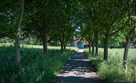 Fotografischer Vorgeschmack auf die Foto-Fahrrad-Wipper-Tour (Foto: Jana Gro&szlig;)