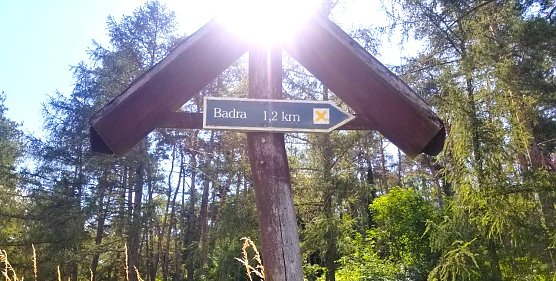 Neue Wege gehen (Foto: FAU ) Neue Wege gehen (Foto: FAU )