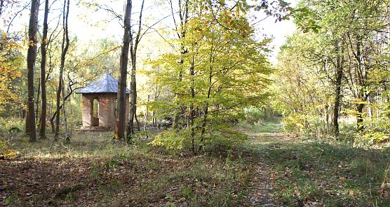 Die sogenannte Russenkapelle in der Hohen Schrecke (Foto: Charlotte Schönemann) Die sogenannte Russenkapelle in der Hohen Schrecke (Foto: Charlotte Schönemann)