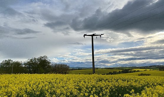 Bei Lipprechterode (Foto: oas) Bei Lipprechterode (Foto: oas)