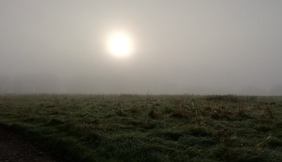 Im Hochharz heute Morgen (Foto: W.Jörgens) Im Hochharz heute Morgen (Foto: W.Jörgens)