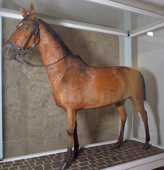 F&uuml;rstliches Pferd (Foto: Schlossmuseum Sondershausen)