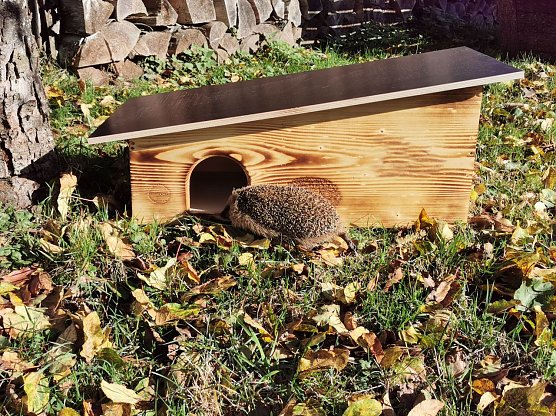Immobilie f&uuml;r den Igel im eigenen Garten (Foto: Roger Cornitzius)