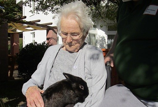 Zwergkaninchen ziehen von Nordhausen nach Sondershausen (Foto: AWO Seniorenresidenz)