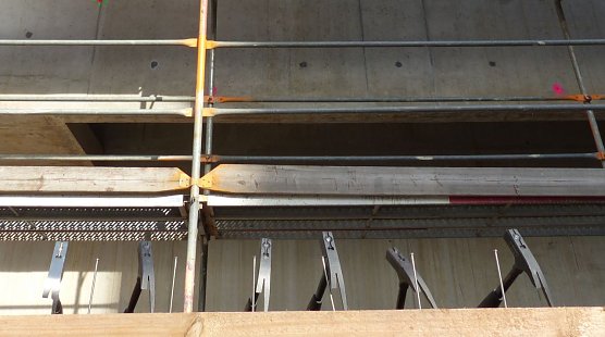 Die N&auml;gel warten auf den Einschlag (Foto: nnz)