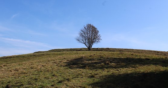 Bei Benneckenstein (Foto: oas) Bei Benneckenstein (Foto: oas)