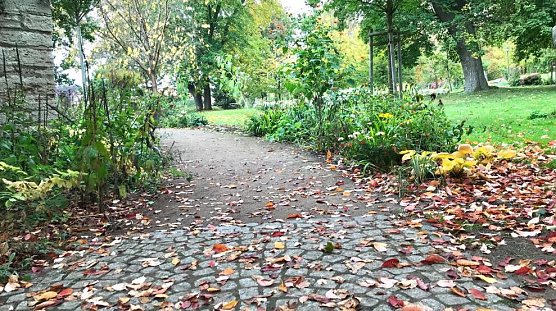 Herbstlicher Weg (Foto: E.Wiegand)