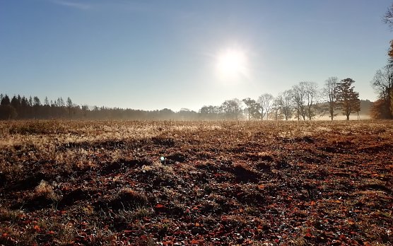 Aktuelle Wetterlage in den Hochlagen des Südharzes (Foto: W.Jörgens) Aktuelle Wetterlage in den Hochlagen des Südharzes (Foto: W.Jörgens)