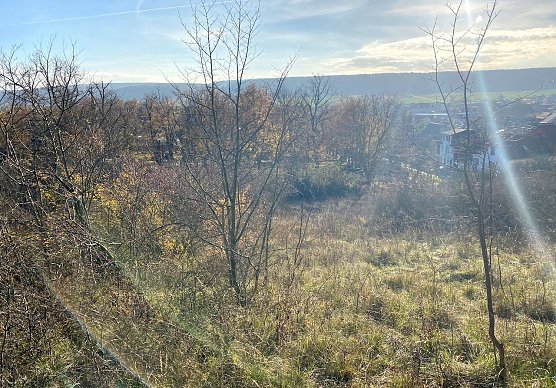 Sonderbaufl&auml;che (Foto: Jana R&uuml;diger-Initiative "Gr&uuml;nfl&auml;chenerhalt")