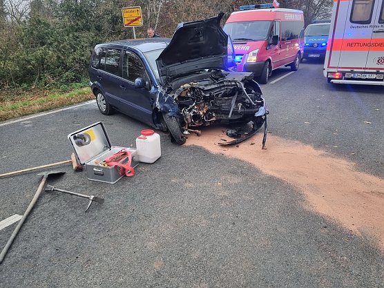 Vogel verursachte Unfall (Foto: Feuerwehr Ebeleben/Silvio Dietzel)