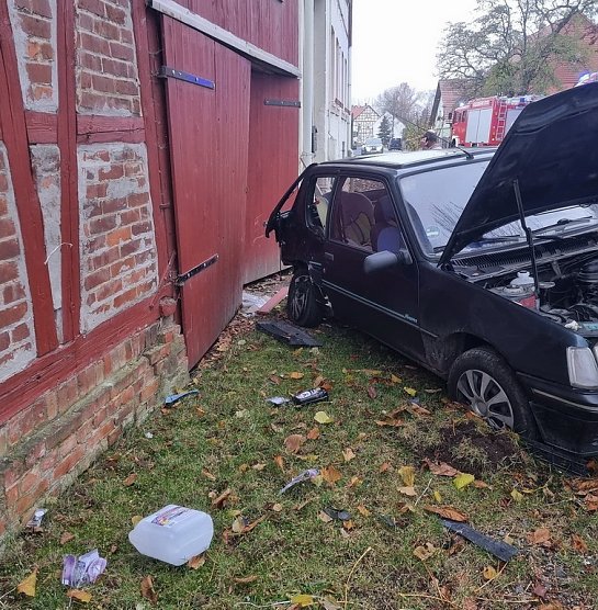 Vogel verursachte Unfall (Foto: Feuerwehr Ebeleben/Silvio Dietzel)
