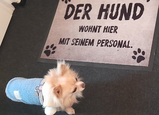 Ein Bild sagt mehr als 1000 Worte (Foto: Simone Klein) Ein Bild sagt mehr als 1000 Worte (Foto: Simone Klein)