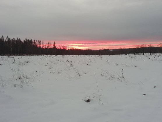 Frostig frisch konnte man heute morgen den Sonnenaufgang in Sophienhof bewundern (Foto: W. J&ouml;rgens)