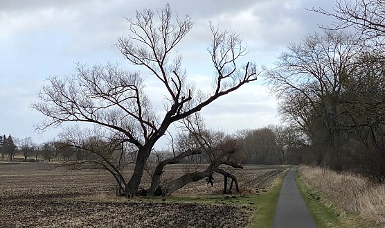 Das stürmische Wetter setzt sich fort (Foto: oas) Das stürmische Wetter setzt sich fort (Foto: oas)