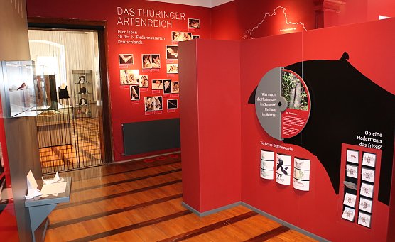 Blick in die Ausstellung "Heimliche Nachbarn" (Foto: Regionalmuseum Bad Frankenhausen) Blick in die Ausstellung "Heimliche Nachbarn" (Foto: Regionalmuseum Bad Frankenhausen)