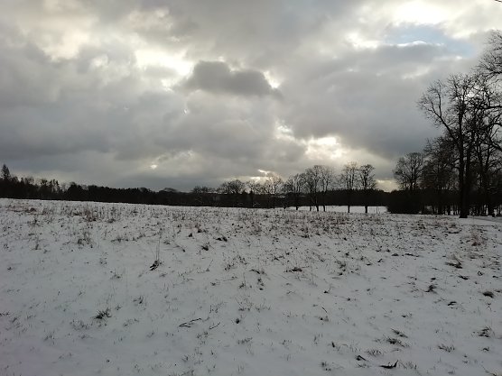 Winterliche Ansichten finden sich weiter nur im Hochland (Foto: W.Jörgens) Winterliche Ansichten finden sich weiter nur im Hochland (Foto: W.Jörgens)