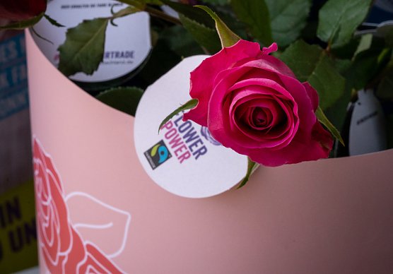 Fair gehandelte Rosen  (Foto: Jana Gro&szlig;)