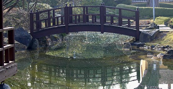Im wieder ge&ouml;ffneten Japanischen Garten in Bad Langensalza (Foto: Eva Maria Wiegand)