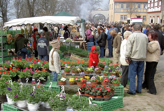 Archiv Foto Bauernmarkt in Braunsroda (Foto: Holger Tuch)