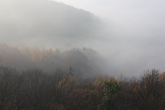 Wetterbild (Foto: agl) Wetterbild (Foto: agl)