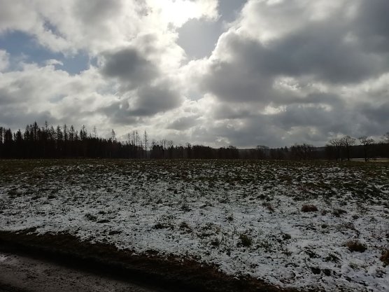 Bei Sophienhof haben Wind und Kälte das Wettergeschehen noch fest im Griff (Foto: W. Jörgens) Bei Sophienhof haben Wind und Kälte das Wettergeschehen noch fest im Griff (Foto: W. Jörgens)