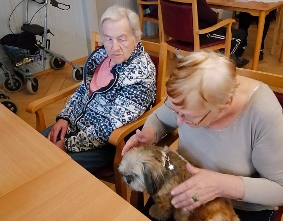 Streichelvergn&uuml;gen im Pflegeheim Schloss Sophie von K&uuml;hn (Foto: Novalis Diakonieverein )