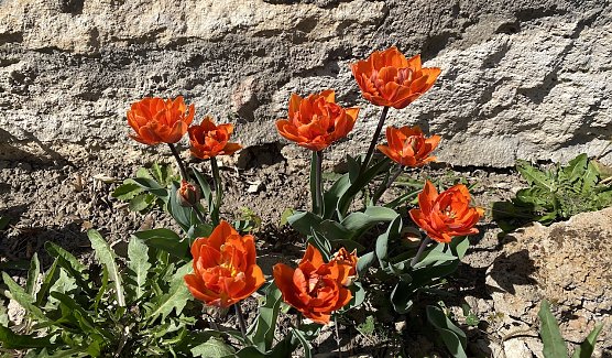 Der April bleibt durchwachsen und k&uuml;hl (Foto: oas)